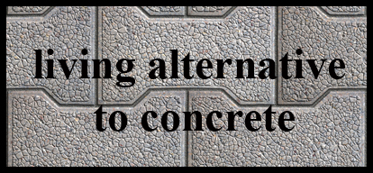 “Living alternative to concrete” – microBEnet: the microbiology of the