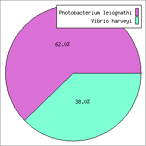 pie_chart