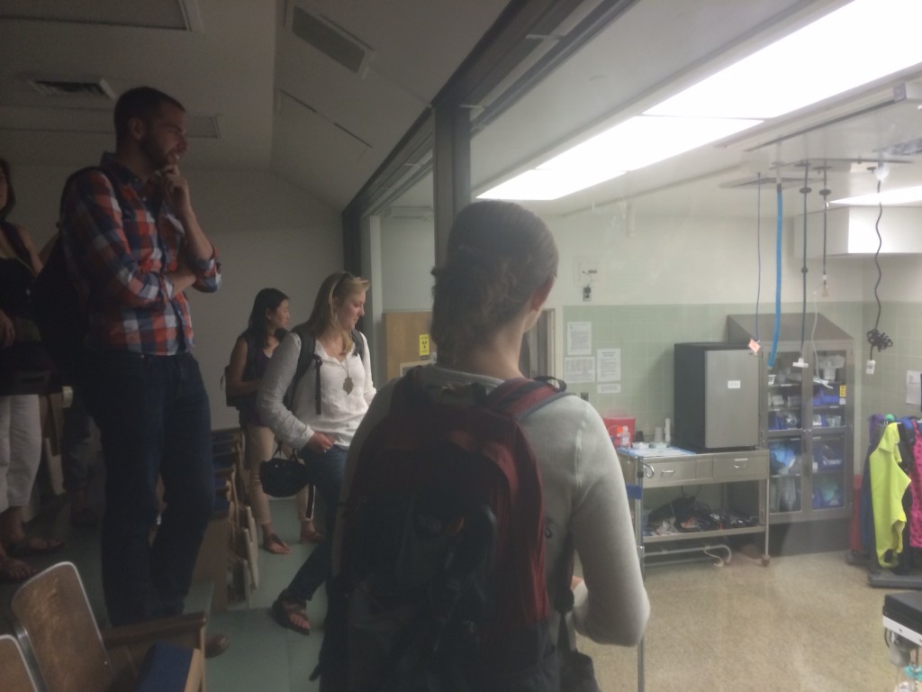 We took a tour of the Veterinary Medicine Teaching Hospital.