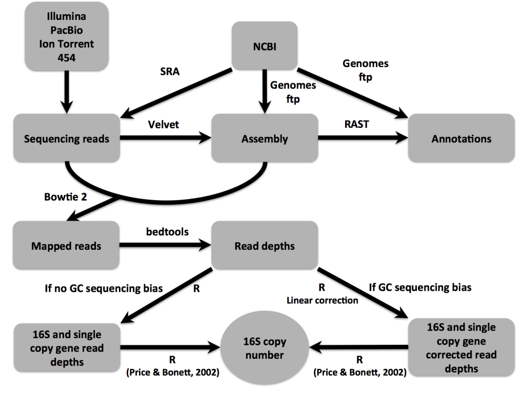 16Stimator pipeline overview.