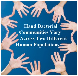 Hand Bacteria