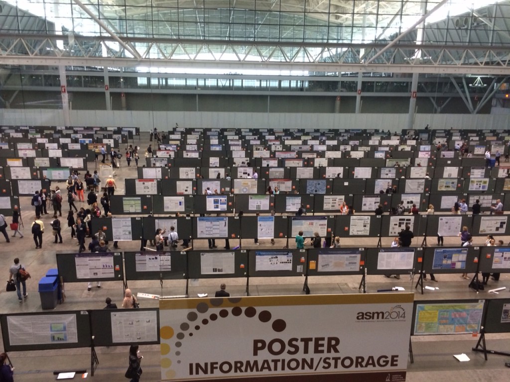 The ASM poster sessions are really impressive.  