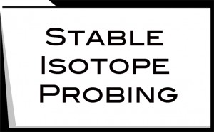 stable isotope probing