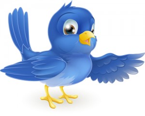 Twitter Bluebird 2012 A1