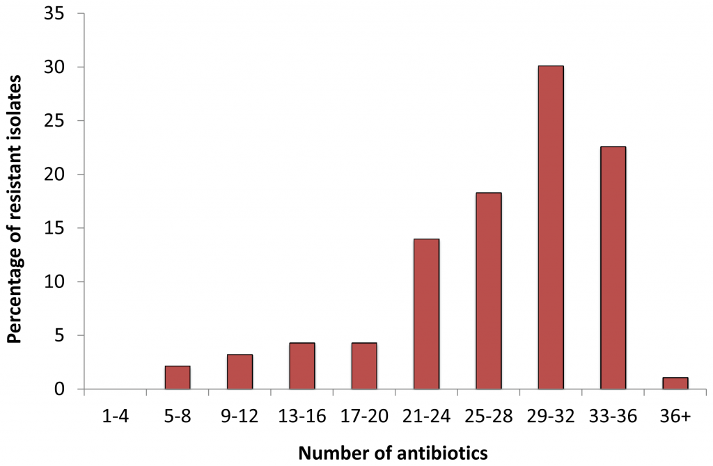 ABX resistance in wastewater bacterial strains