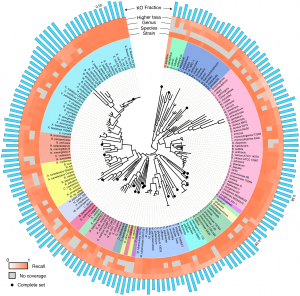The performance of BLAST-based annotation of short reads across the bacterial and archaeal tree of life. The phylogenetic tree was obtained from Ciccarelli et al. Colored rings represent the recall for identifying reads originating from a KO gene using the top gene protocol. The 4 rings correspond to varying levels of database coverage. Specifically, the innermost ring illustrates the recall obtained when the strain from which the reads originated is included in the database, while the other 3 rings, respectively, correspond to cases where only genomes from the same species, genus, or more remote taxonomic relationships are present in the database. Entries where no data were available (for example, when the strain from which the reads originated was the only member of its species) are shaded gray. For one genome in each phylum, denoted by a black dot at the branch tip, every possible 101-bp read was generated for this analysis. For the remaining genomes, every 10th possible read was used. Blue bars represent the fraction of the genome's peptide genes associated with a KO; for reference, the values are shown for E. coli, B. thetaiotaomicron, and S. Pneumoniae. Figure and text adapted from: Carr R, Borenstein E (2014) Comparative Analysis of Functional Metagenomic Annotation and the Mappability of Short Reads. PLoS ONE 9(8): e105776. doi:10.1371/journal.pone.0105776. See the manuscript for full details.