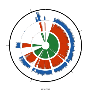 pMT1_plasmid