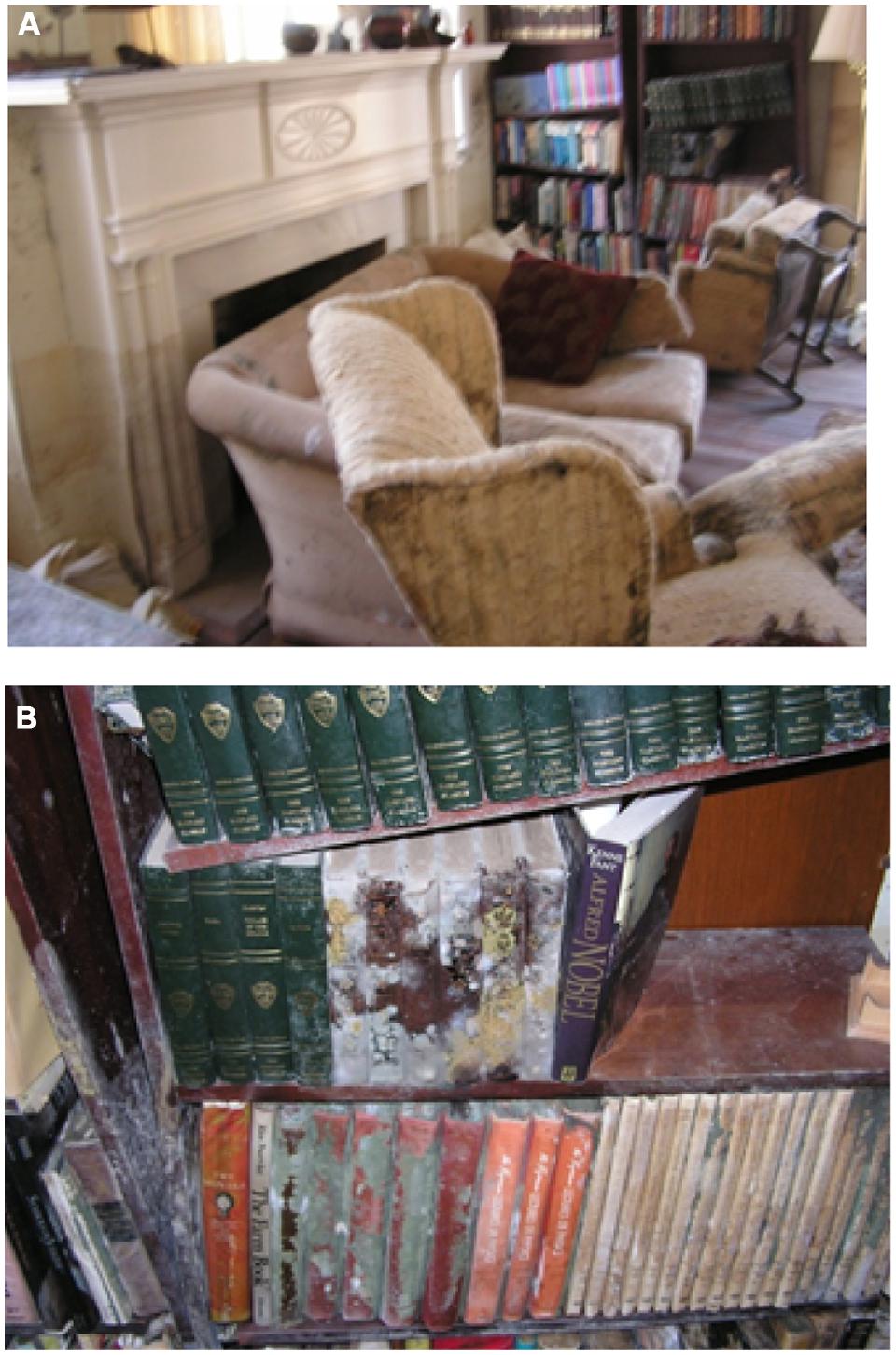 FIGURE 1. (A) The living room of the author’s New Orleans home on October 6, 2005 in the aftermath of Hurricane Katrina. (B) Closer view of moldy books on flooded book shelf.