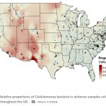 Relative proportions of Cellulomonas bacteria in airborne samples collected throughout the US.