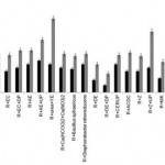 Initial and final setting times of the different mixtures tested. 