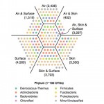 Venn-like representation of OTUs shared between the three sample types (air, skin and surface).