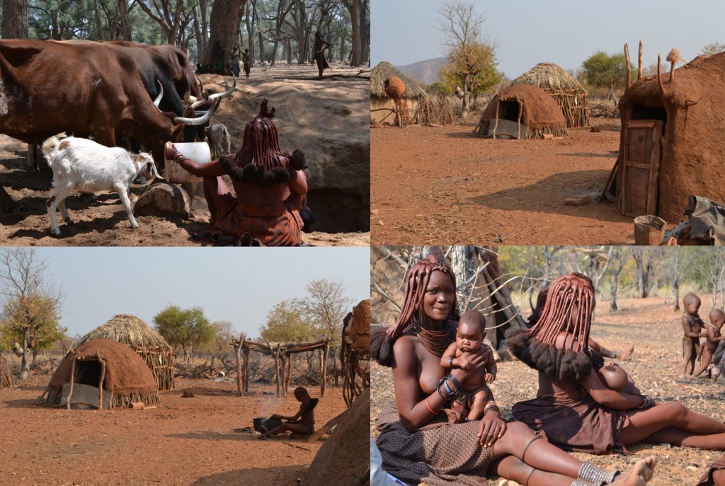 Traditional Himba cow watering hole (A), compound (B), Himba mothers and babies (C), Himba woman cooking in compound (D). Photos by Katie Hinde (B,C, D) and Brooke Scelza (A), used with permission. Compound living structures are built of mud, animal dung, sticks, and water.