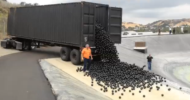 A truck-full of shade balls 