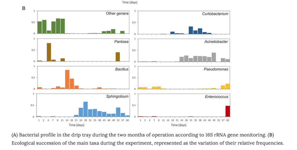 The microbiome of your coffee maker the microbiology of