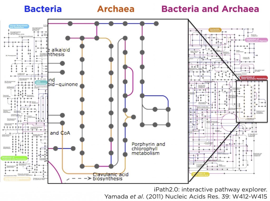 ipath-2