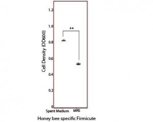 Interactions_figure