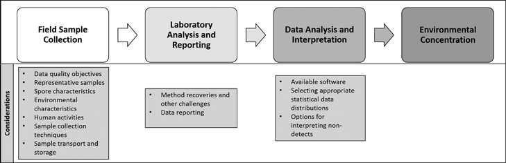 Flowchart of considerations for interpreting environmental field data.