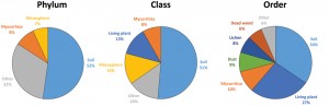 Fig. 1. The most common substrates associated with the top 50 most wanted fungi at the phylum, class, and order level. Dust is a surprisingly common source of fungal sequences that cannot be identified at the order level. Figure from http://mycokeys.pensoft.net/articles.php?id=7553