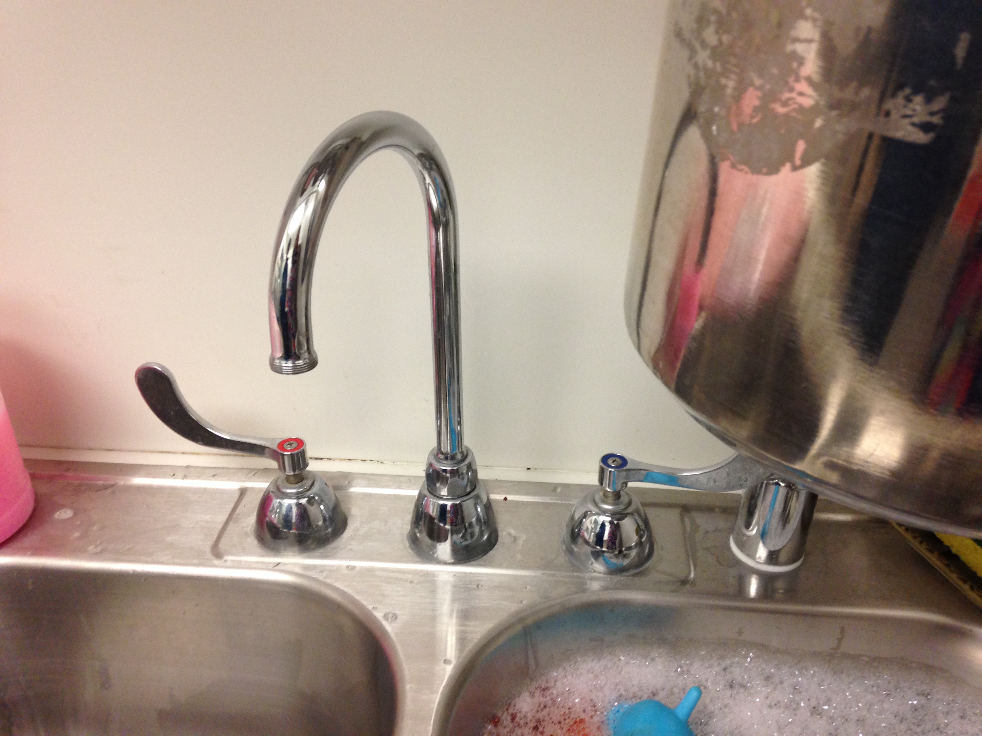 The dog, cat and people areas in the shelter have separate kitchens with sinks and dishwashers.