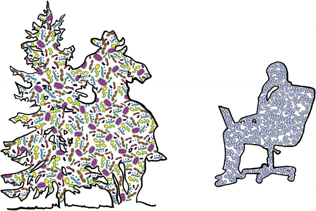 Microbial diversity in outdoor environments and BEs. On the left is the silhouette of a cowboy brushing past a pine tree while riding a horse. On the right is the silhouette of a person sitting in an office chair and working on a laptop. Blue microbes are human associated, while other colors represent nonhuman microbial diversity.
