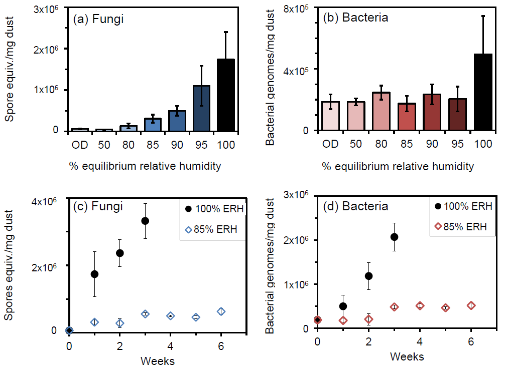 Fungi and bacteria grow in carpet at elevated relative humidity