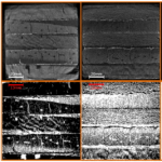 Influence of water and fungal growth on porosity changes in plywood core