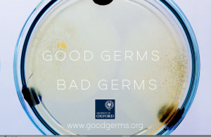 good-germs-bad-germs-film